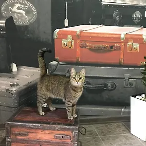 Inn Sacvoyage